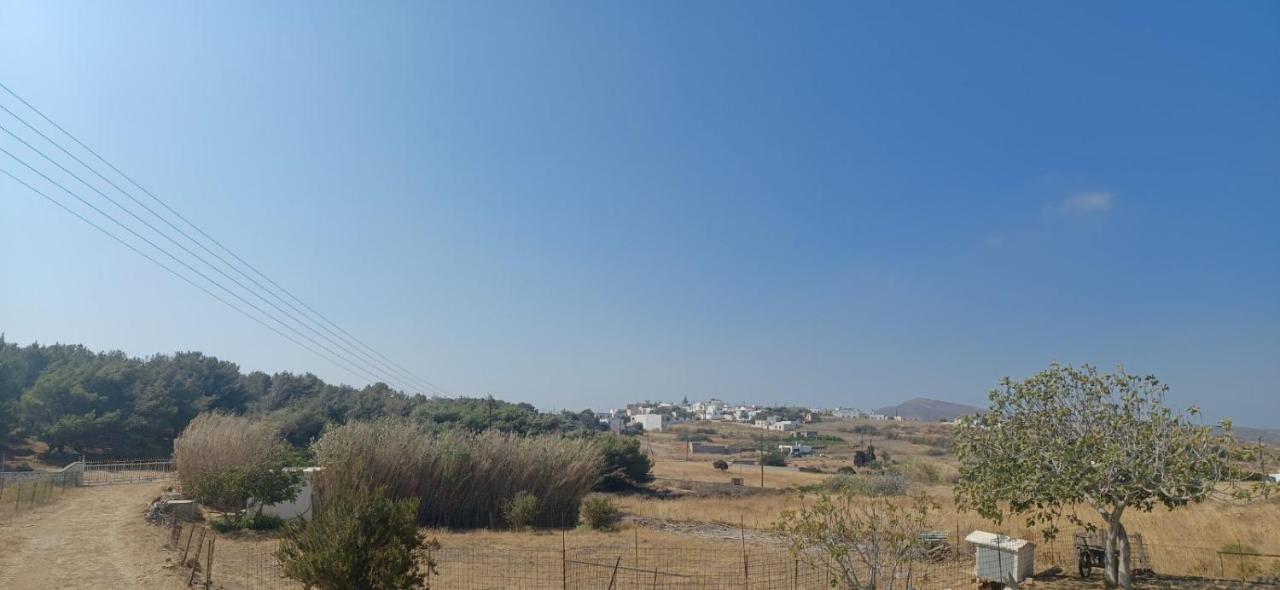 דירות Ano Sangrion Rhykkes Farmhouse With View מראה חיצוני תמונה