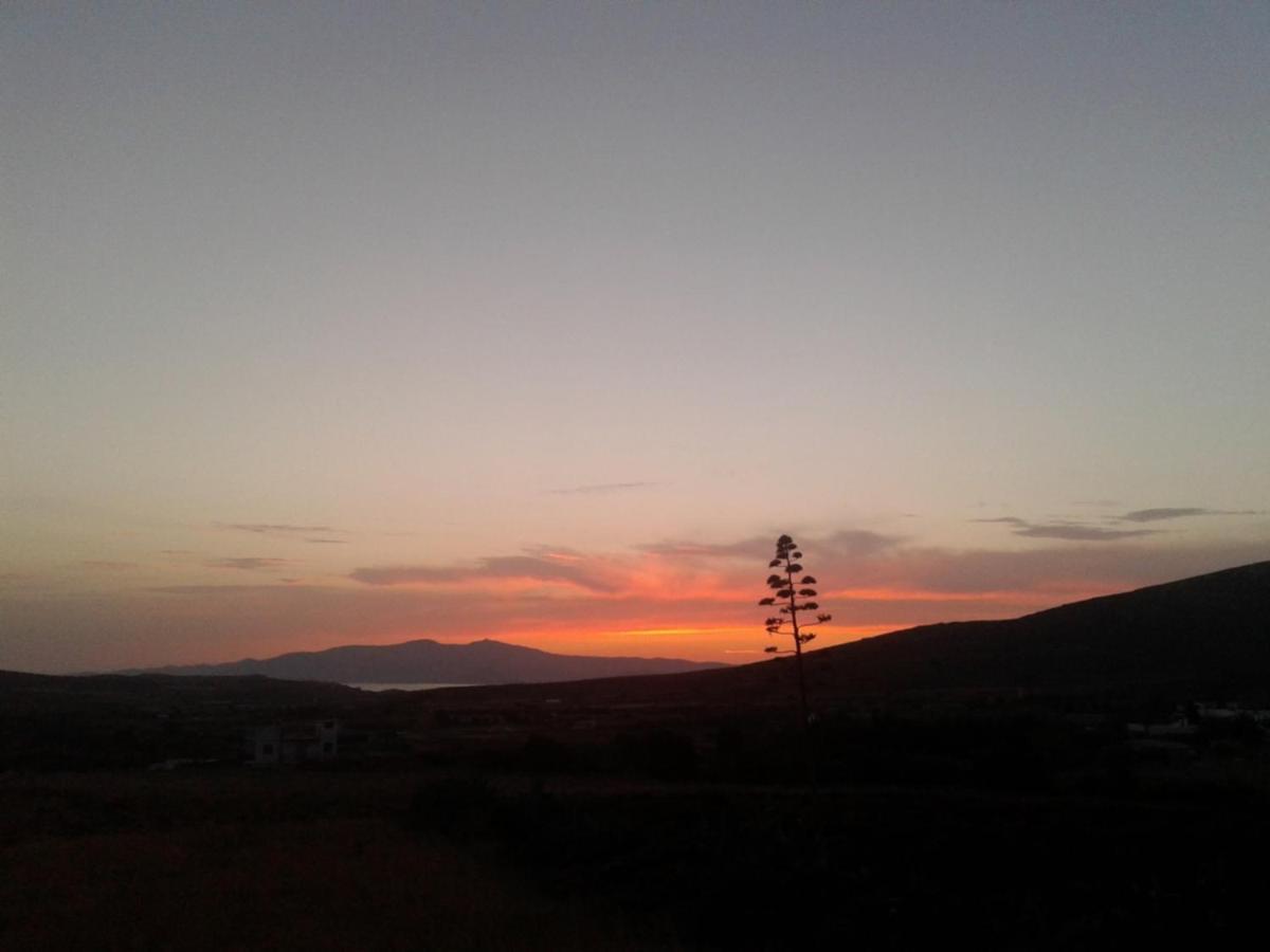 דירות Ano Sangrion Rhykkes Farmhouse With View מראה חיצוני תמונה